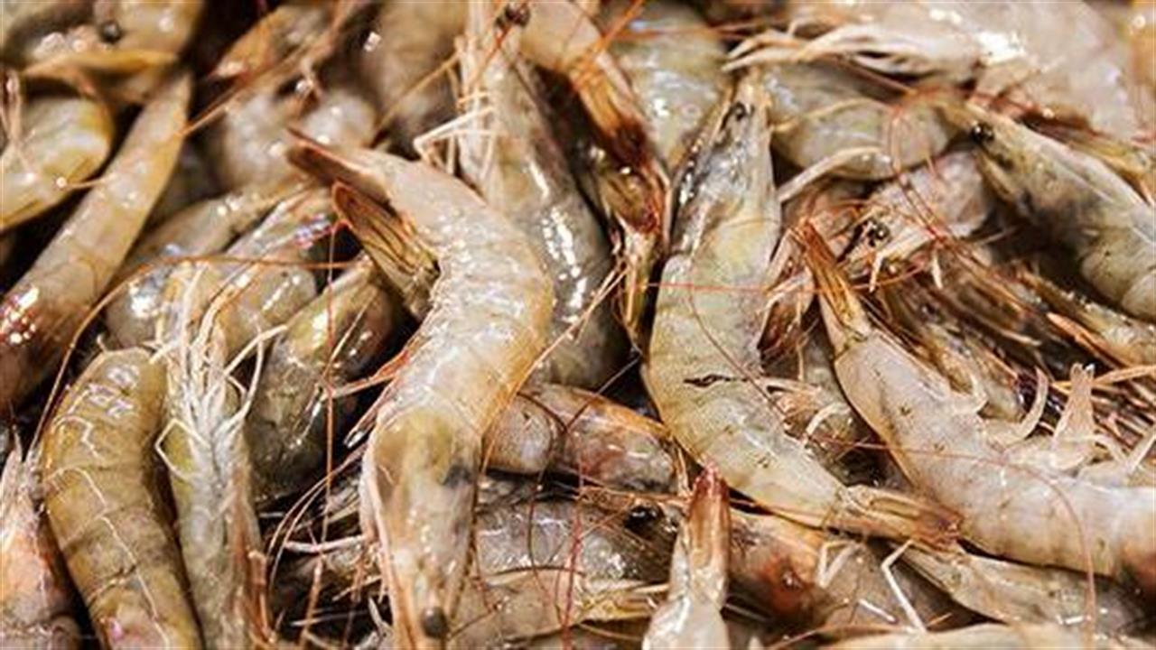 Η Κίνα εισήγαγε γαρίδες με κορωνοϊό - Ποια εξήγηση δίνεται